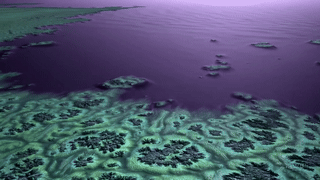 Zaphod-style two-headed burner speaking on the playa